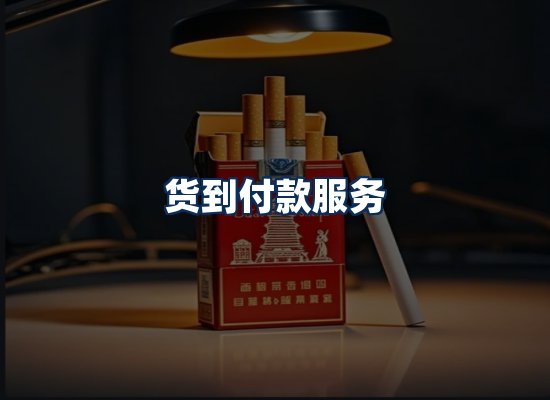 专业团队办公环境